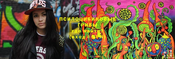 синтетический гашиш Алексин