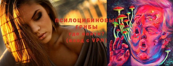 синтетический гашиш Алексин